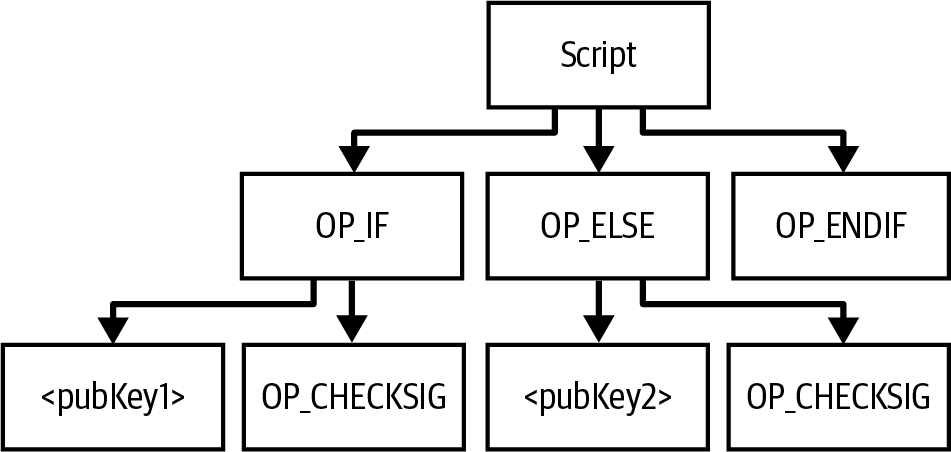 An Abstract Syntax Tree (AST) for a script